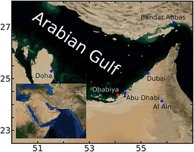 Summer Oxygen Dynamics on a Southern Arabian Gulf Coral Reef